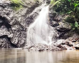 La Martina Ecolodge - Nuquí
