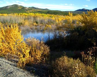Remote Log Cabin Rental near Whitehorse in Yukon - Whitehorse - Outdoors view