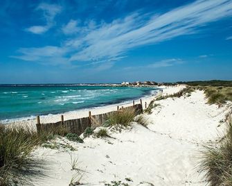 Nicolau 2B. - ses Salines - Strand