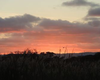 PS Federal romantic retreat - Goolwa - Outdoors view