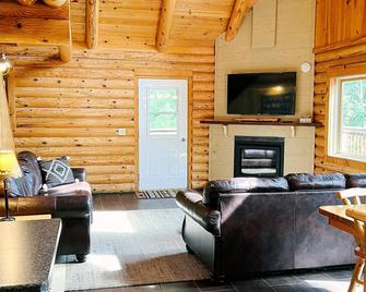 Beautiful 4 BR 4BA log home on Lake Vermilion, perfect for families. A/C + WiFi - Cook - Living room