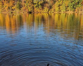 Lakeside Serenity directly on Lake Reidsville - Reidsville