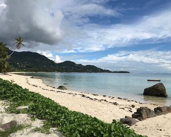 Dar and Douce - Au Cap - Beach