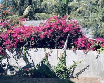 Green Star Resort - Phan Thiet