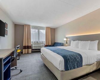 Comfort Inn Herndon-Reston - Herndon - Chambre