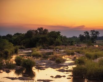 Rhino Walking Safaris - Sabie Park - Outdoor view