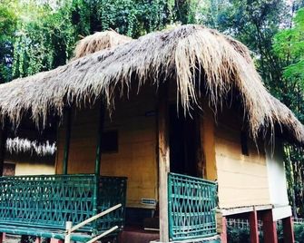 Nature Hunt Eco Camp - Kaziranga