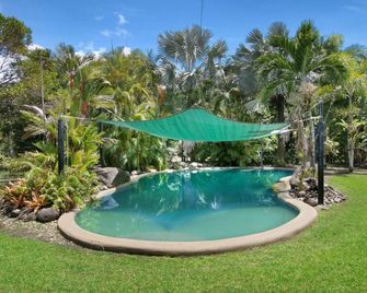 Daintree Wild Bed & Breakfast - Daintree - Pool