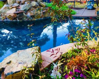 Almost Eden Wine Country Private Suite & Entrance - Shingle Springs - Piscina