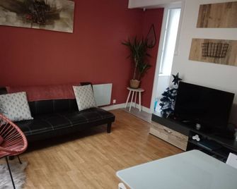 Pounette, appartement T3 centre / thermes Luxeuil - Luxeuil-les-Bains - Obývací pokoj
