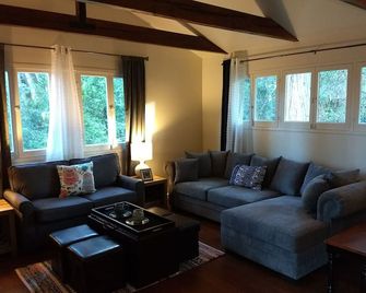 The Alpenglow Cottage! - Twin Peaks - Living room