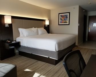 Holiday Inn Express Birch Run (Frankenmuth Area) By IHG - Birch Run - Habitación
