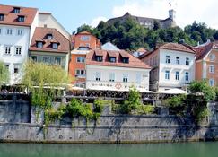 Apartments And Rooms Mescanka - Ljubljana - Bina