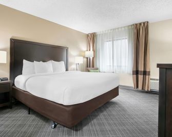 Comfort Inn Detroit Downtown - Detroit - Habitación