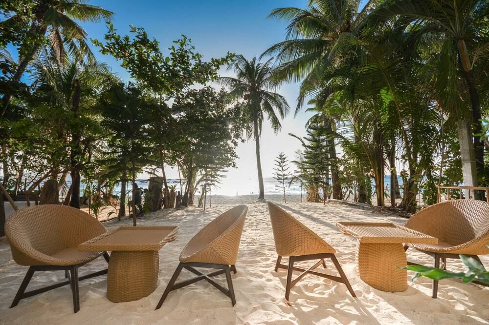 سيجنيتشر بوراكاي بلو