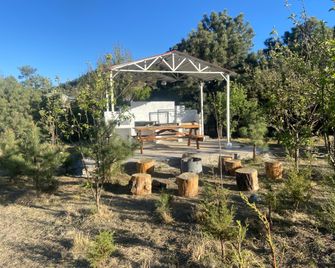 Cabañas Rochivo Ranch - Creel