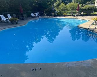 Unique Mountain Cabin (#94) - Quiet, secluded woodland home! - Basye - Piscine