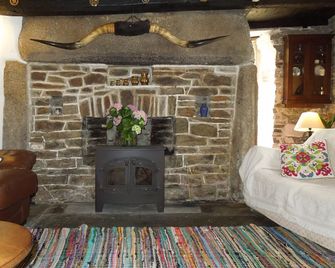 Spacious 600 Year Old Farmhouse, On The Rugged North Cornwall Coast - Boscastle - Living room