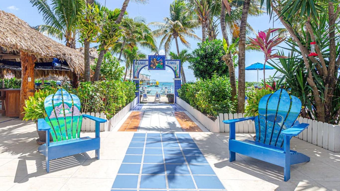 Blue Tang Inn