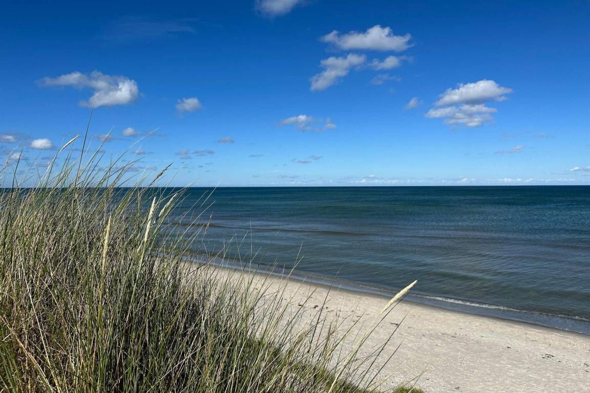 Lovely house with garden, barbecue & terrace | Pet-friendly – Sæby