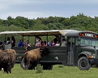 Hidden Valley Animal Adventure - Varysburg