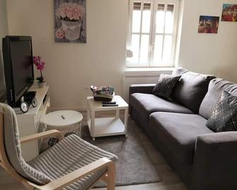 Le Cocon de Tom - Colmar - Salon