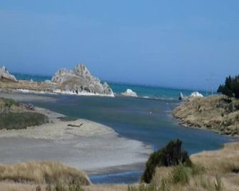 Rustic 1800's cottage set on a sheep and beef farm - Martinborough - Beach
