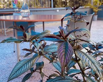 Dad's Place - Karatina - Patio