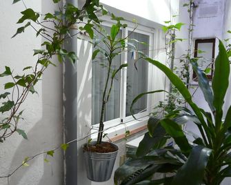Hotel Alexandra Sitges - סיטגס - נוף חיצוני