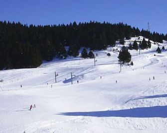 Hôtel Mercure Annecy Sud - אנסי - שירותי מקום האירוח