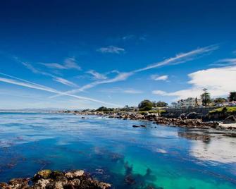 Saltbox - Pacific Grove House - Two Blocks to Beach and Downtown! - Pacific Grove - Beach