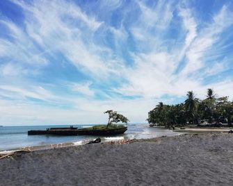Geckoes Lodge - Cocles - Beach