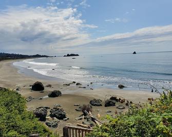 Incredible Ocean Front View And Access (Not For Fishing) - Smith River - Playa