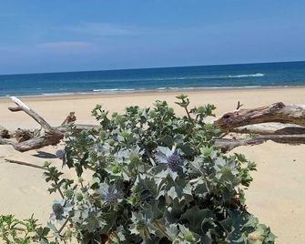 Cosy 21 M2 With Loggia Pool Near The Beach - Moliets-et-Maa - Plage