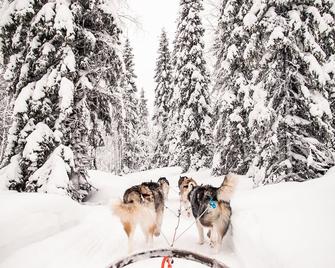 Magical Pond Nature Igloos - Ruka