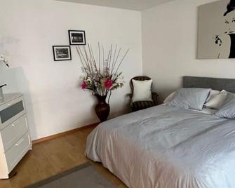 Schweiz (302) - Basilea - Habitación