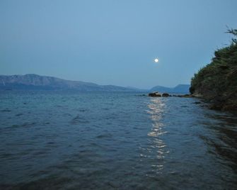 One vision - Nikiana