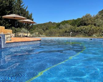 Gîte Mûrier - Suze-la-Rousse - Piscine