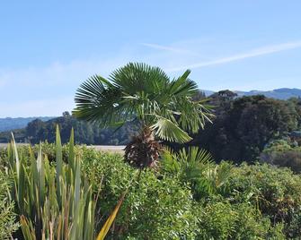 Beach Front:palms-On-The-Beach.Kaiterite - Kaiteriteri