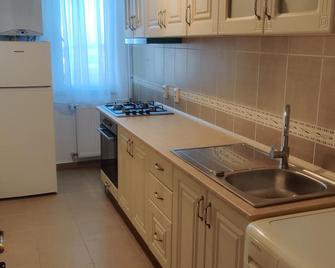 Town View Penthouse - Suceava - Kitchen