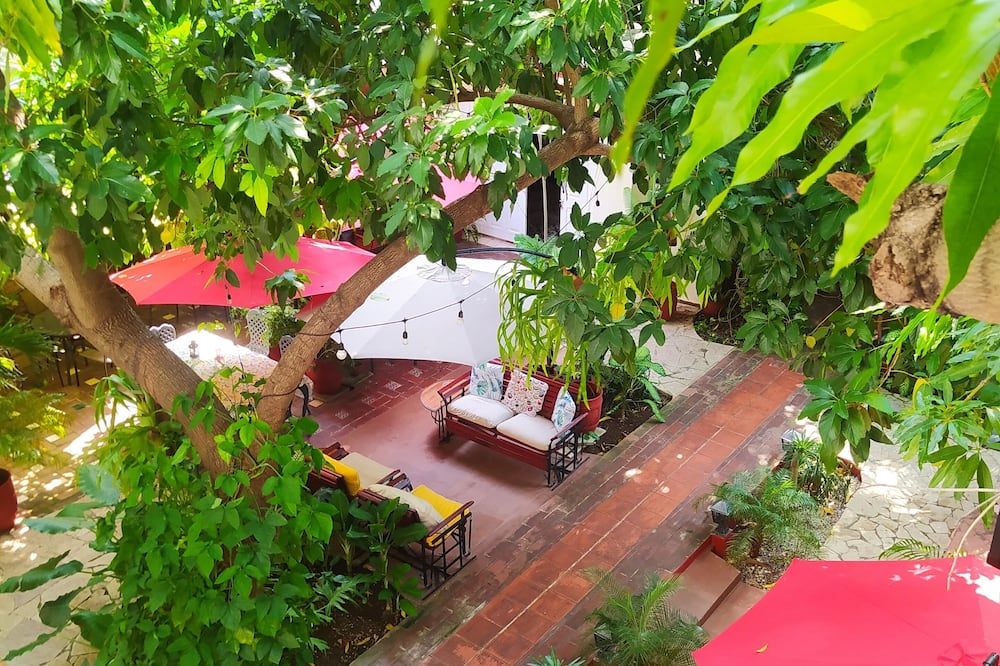 Casa Brava Havana - Havana - פטיו