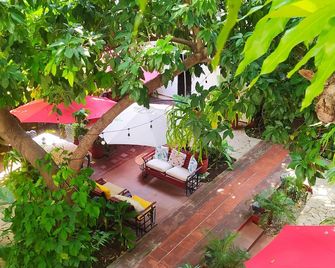 Casa Brava Havana - Havana - פטיו