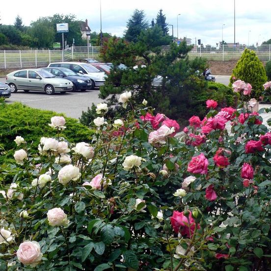 Hotel Restaurant Les Jardins D'Ep么ne image 1