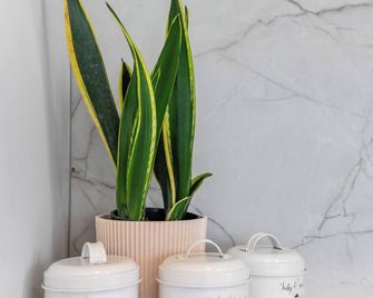 Karapiro Cottage - Cambridge - Room amenity