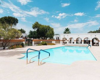 New Desert Bloom Hideaway - Green Valley - Piscina