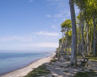 Fully equipped, large 3.5 room apartment just 350 m from the Baltic Sea - Nienhagen - Beach