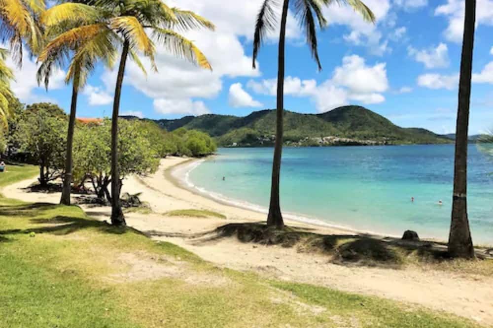 برايس مارين