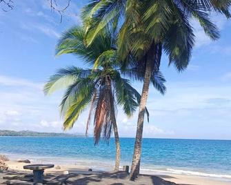 Hotel Boutique D Angelo - Manzanillo - Strand