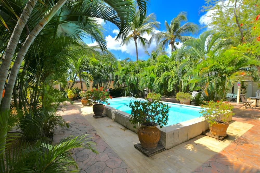 فندق وندرز بوتيك - أورانجيستاد - حوض السباحة