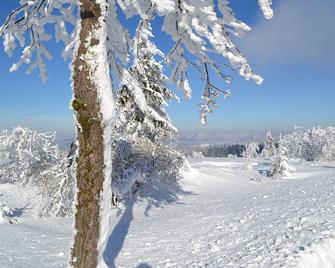 Chalet du petit ruisseau - Le Hohwald - Accommodatie extra